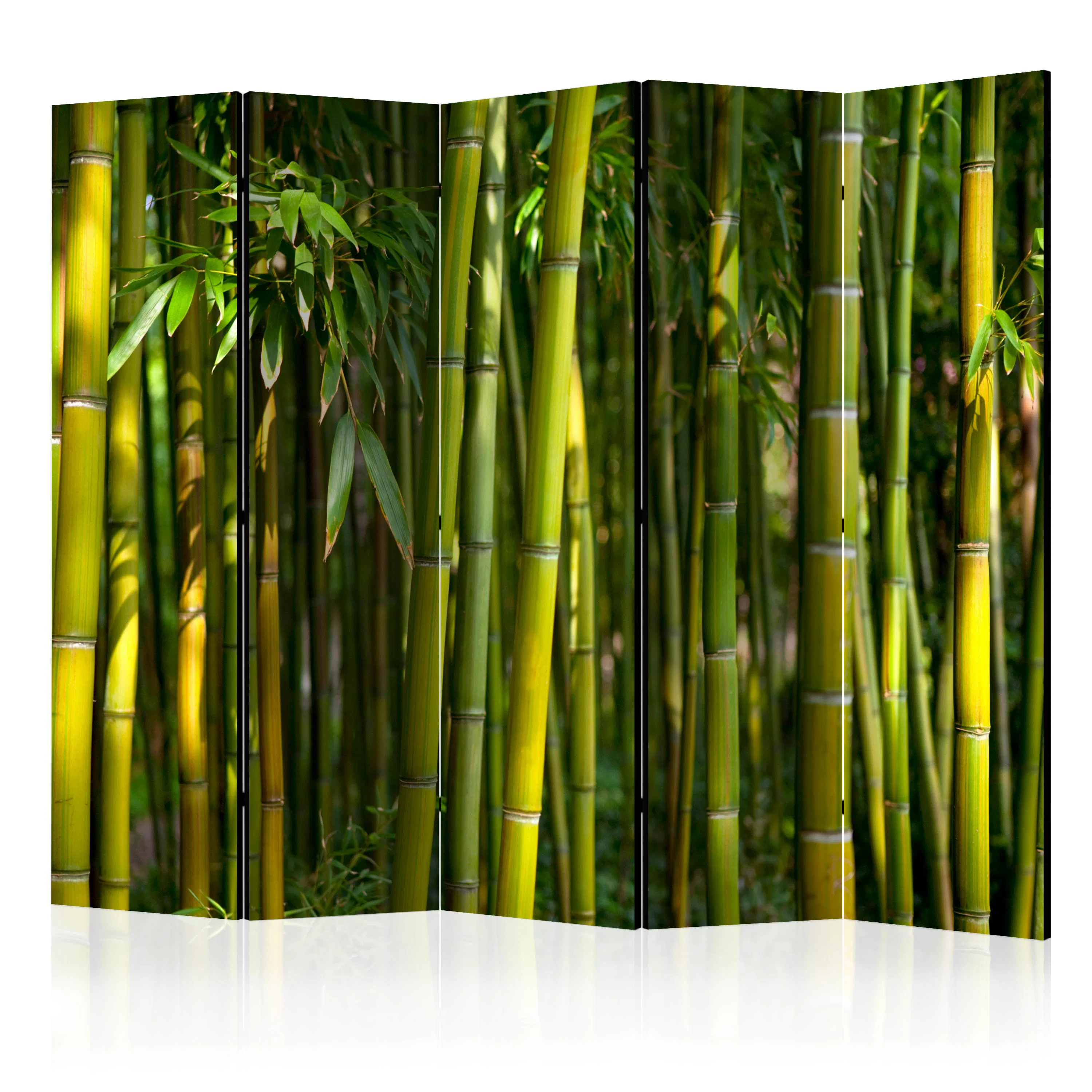 Rumsavdelare Arkiio Oriental Garden II 225x172 cm