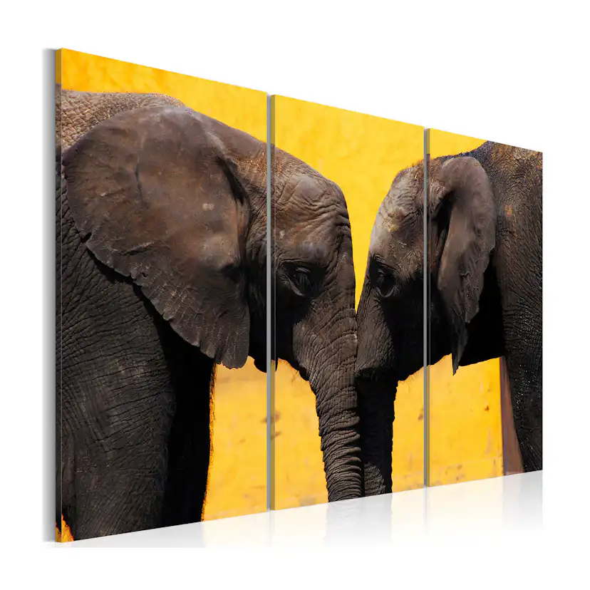 Tavla Arkiio Elephant Kiss