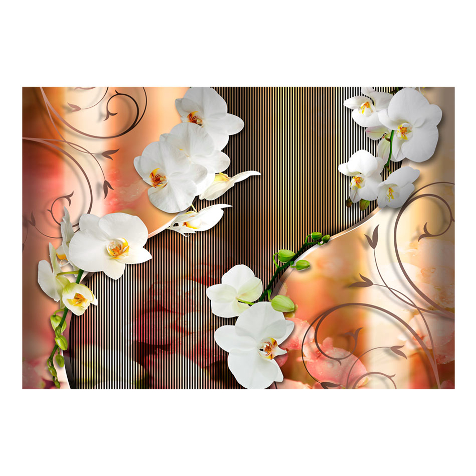 Fototapet Arkiio Orchid