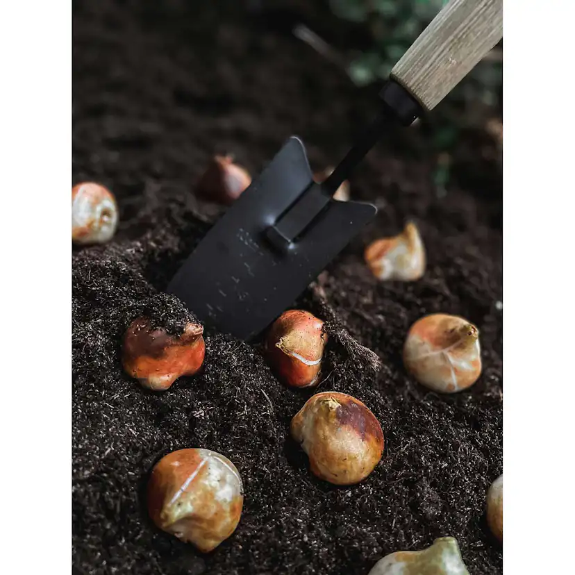 Trädgårdsspade by Benson