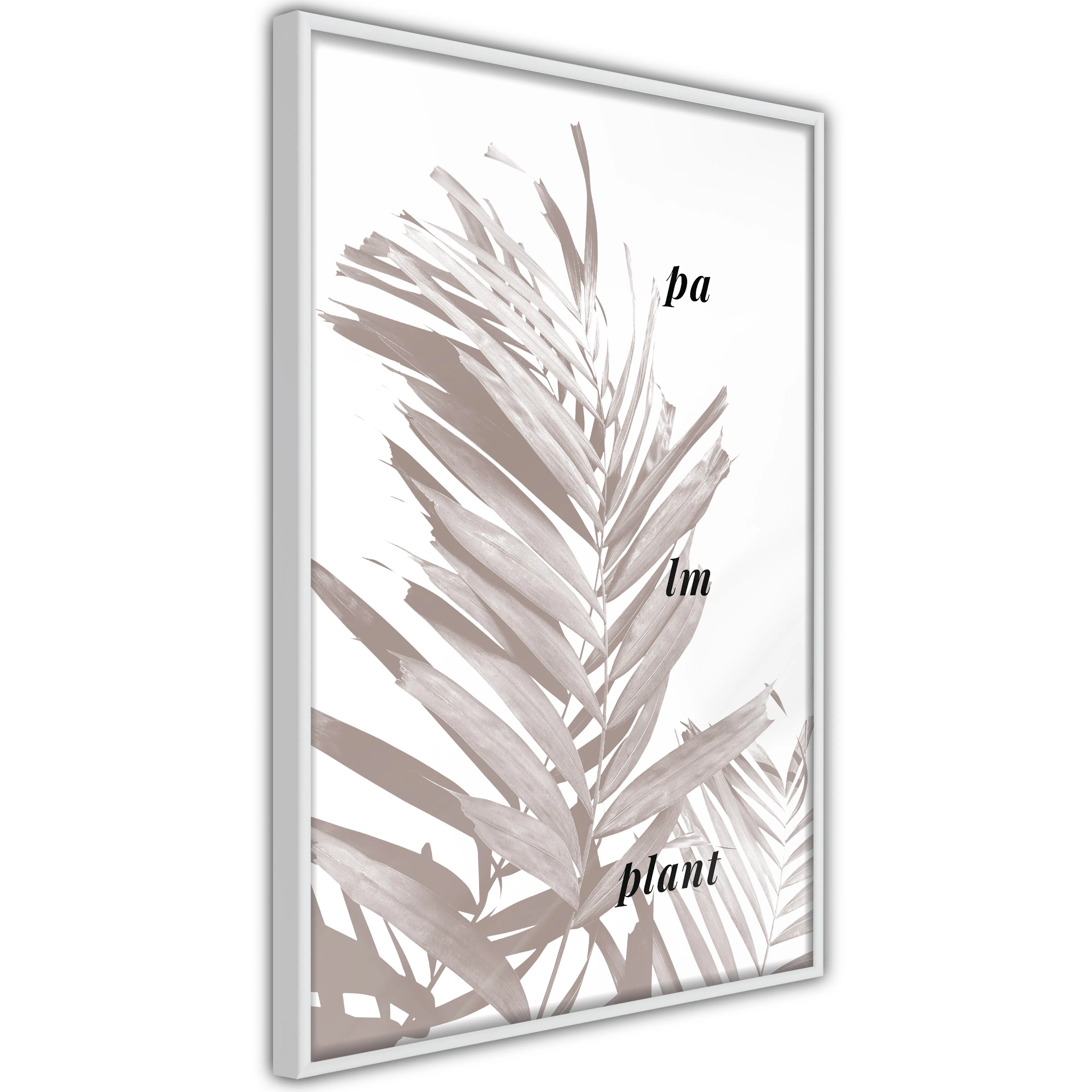 Poster Artgeist Affisch Palm Plant