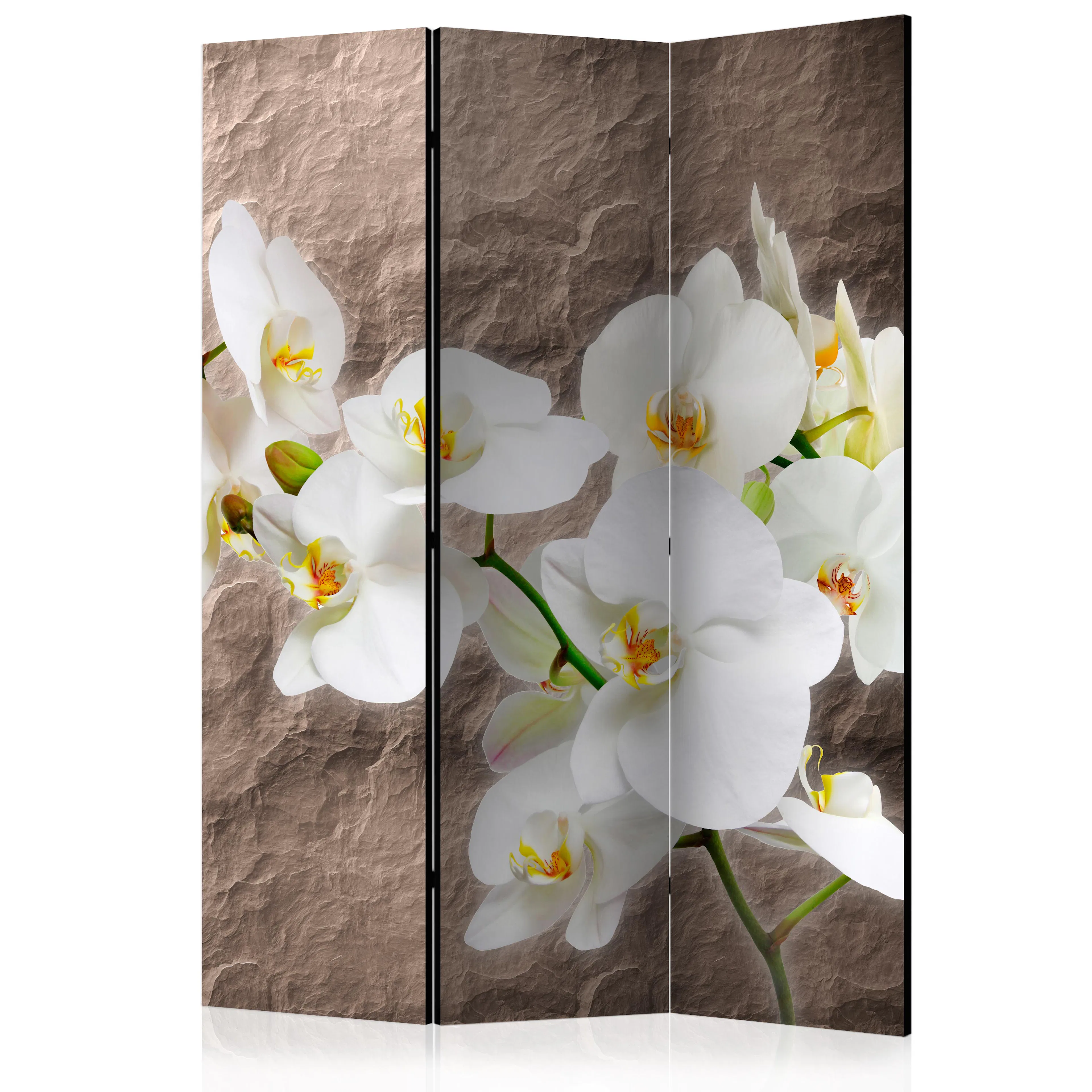 Rumsavdelare Arkiio Impeccability Of The Orchid 135x172 cm