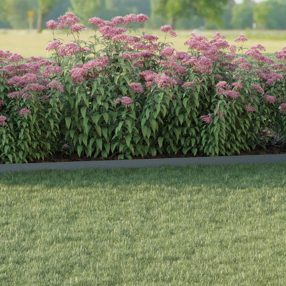 Kantskydd Skotte Garden 26x100 cm 4-pack