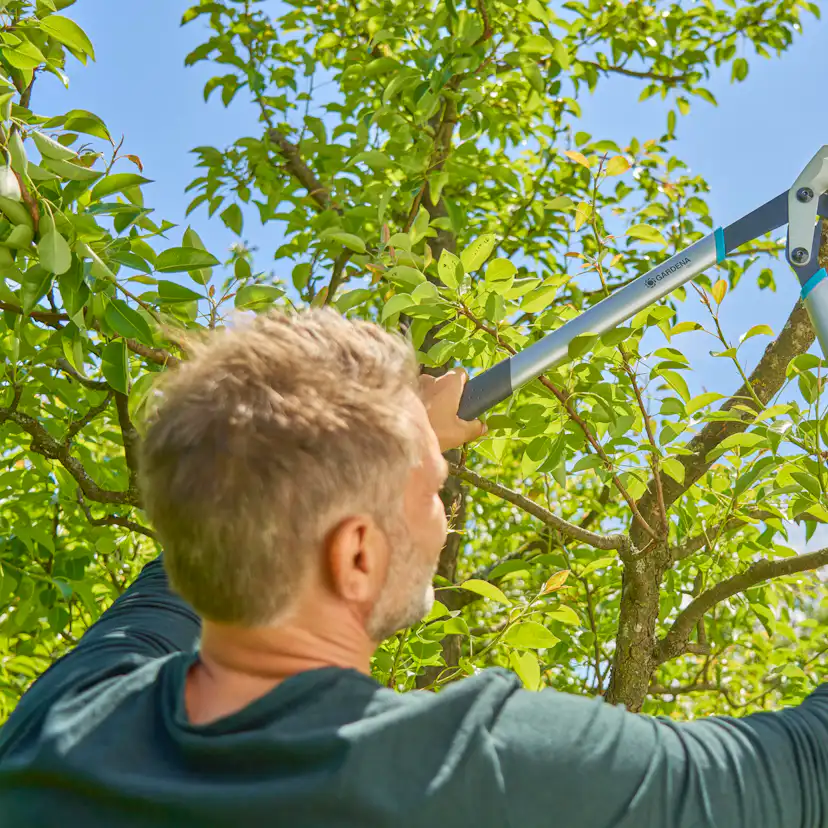 Grensax Gardena EnergyCut Basic