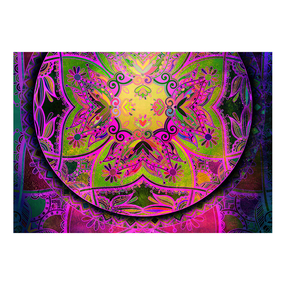Fototapet Arkiio Mandala: Pin