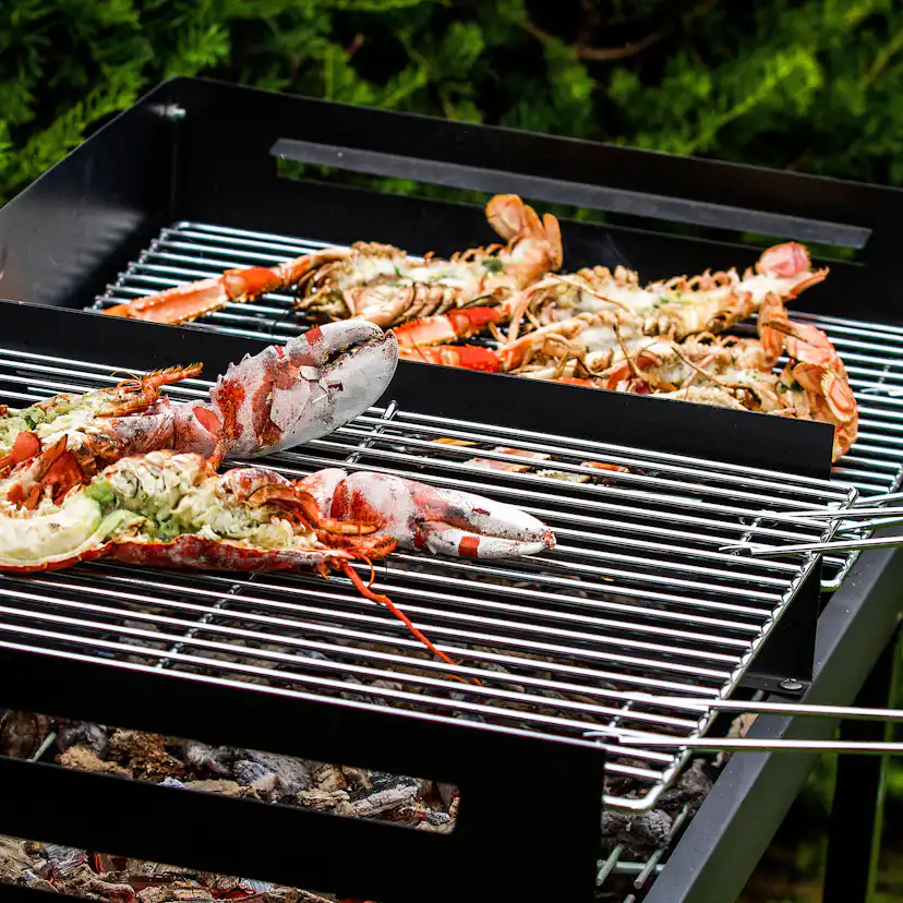 Kolgrill Sunwind Odis