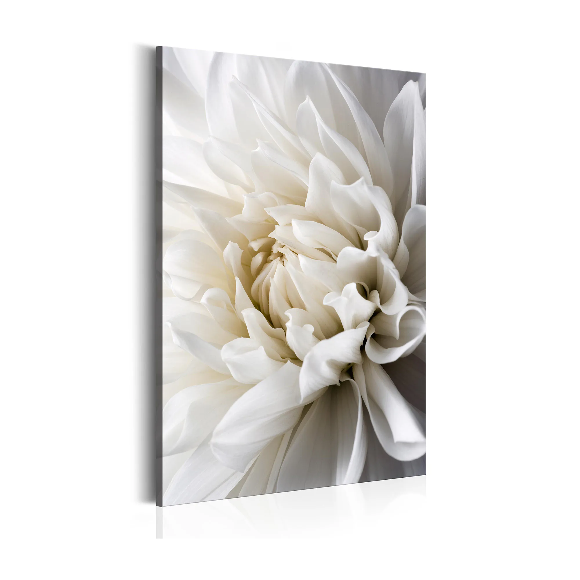 Tavla Arkiio White Dahlia
