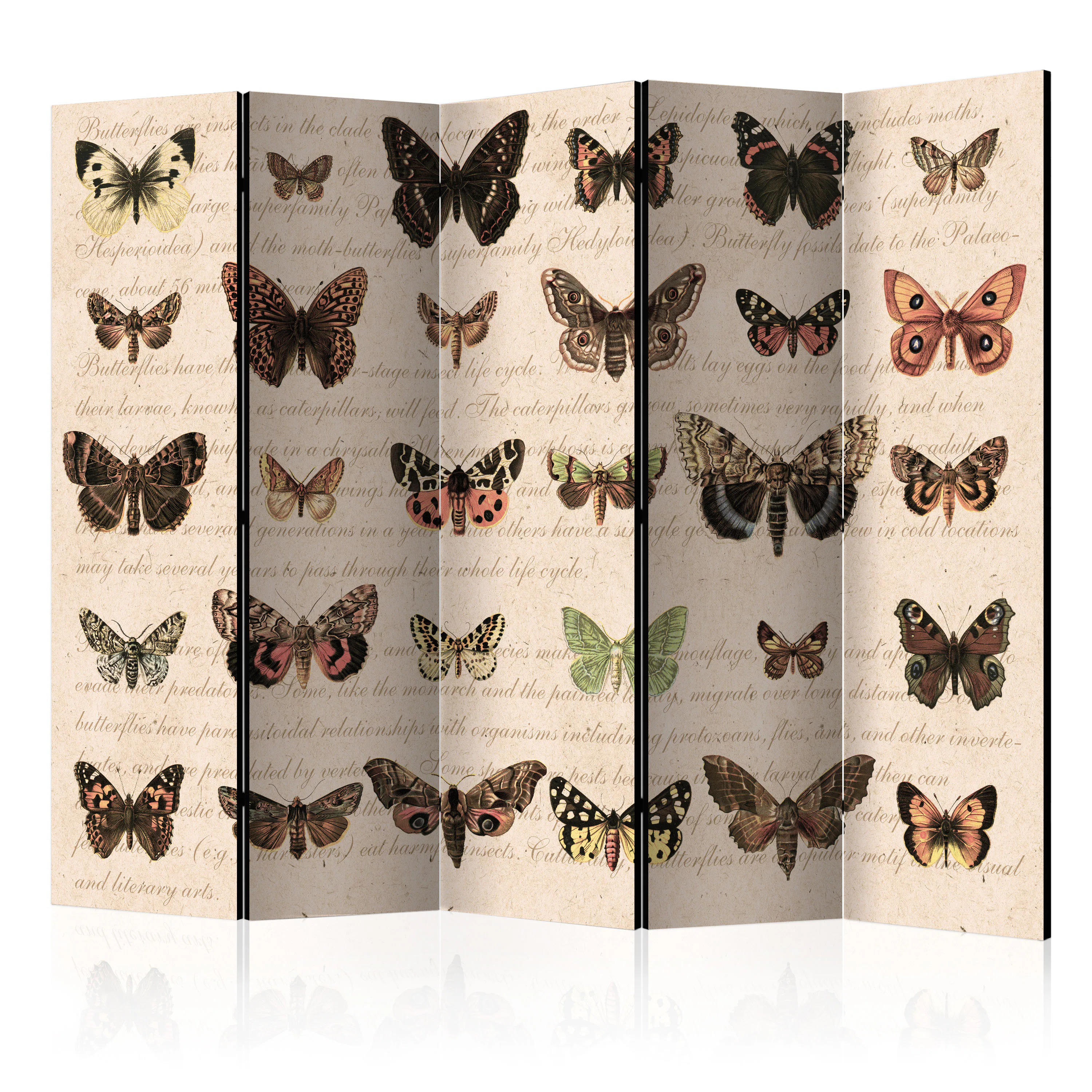 Rumsavdelare Arkiio Retro Style: Butterflies II 225x172 cm