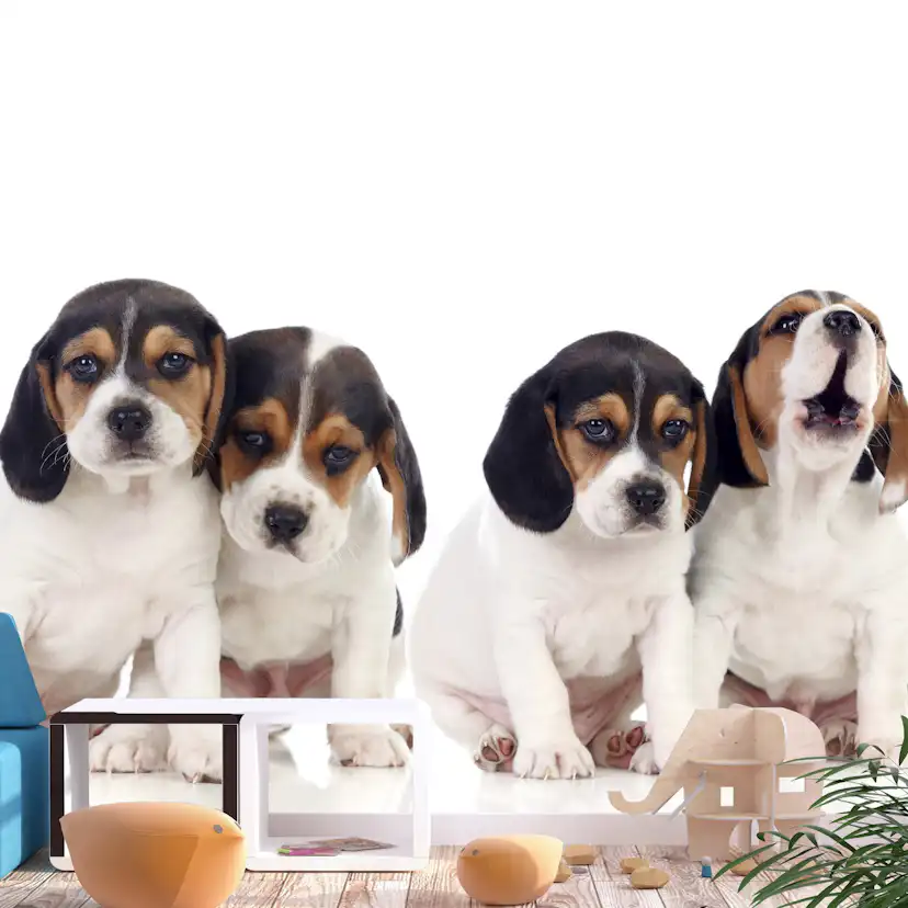 Fototapet Arkiio Sad Puppies