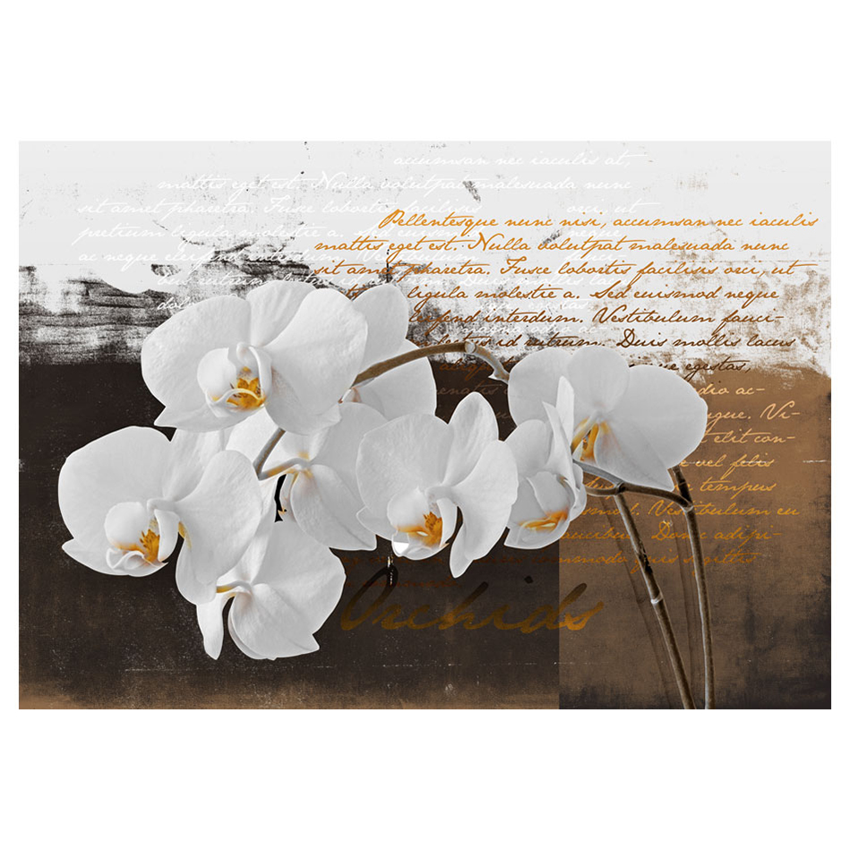 Fototapet Arkiio Sentimental Thoughts