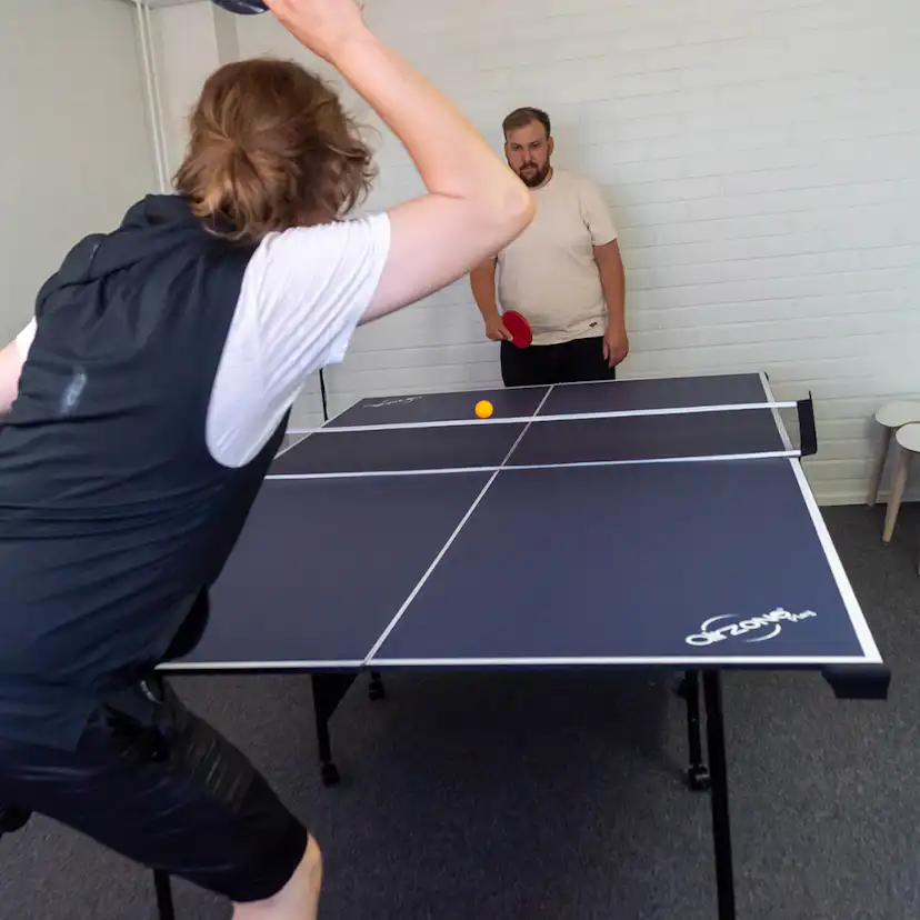 Pingisbord ProSport Officiell Storlek Hopfällbar