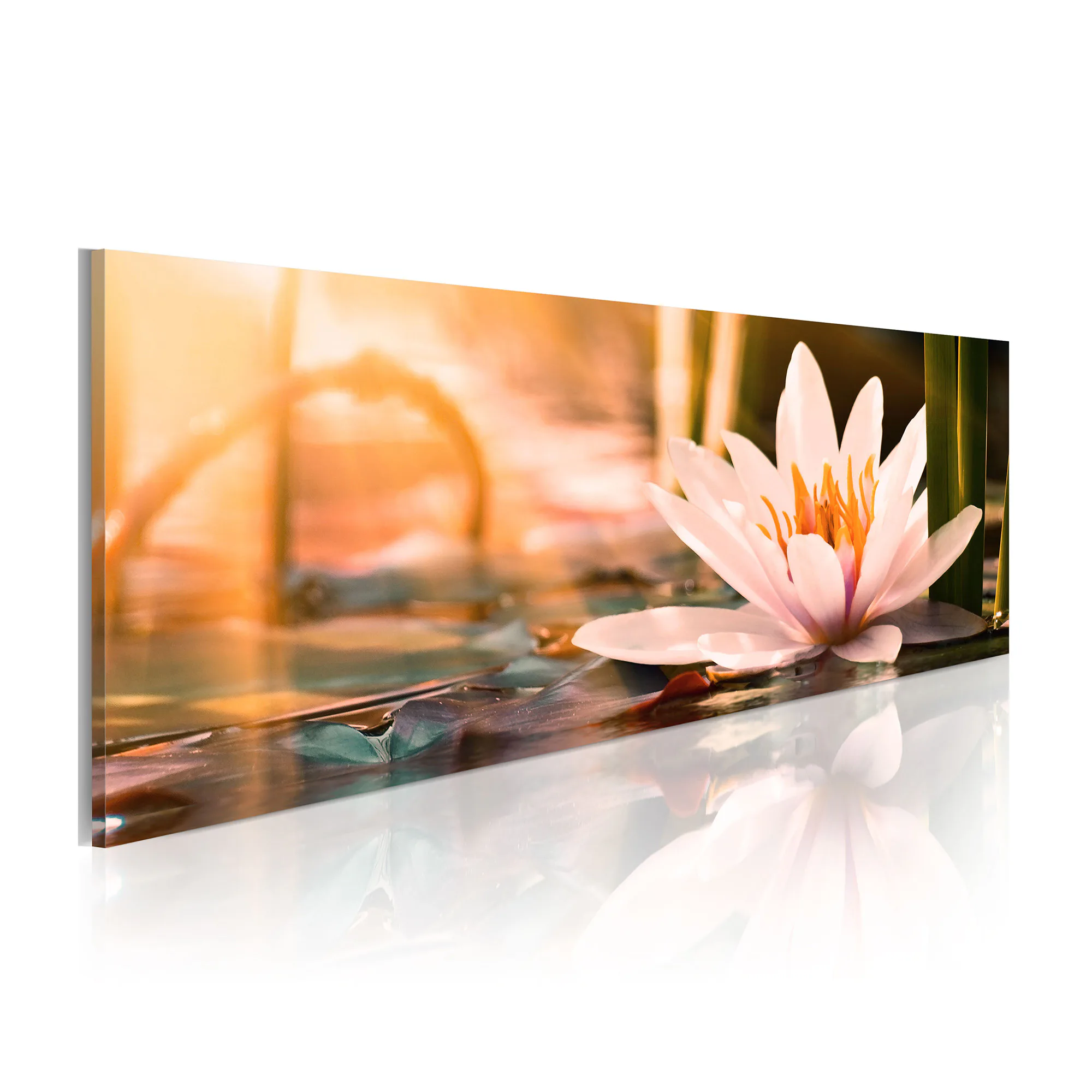 Tavla Arkiio Beautiful Lotus