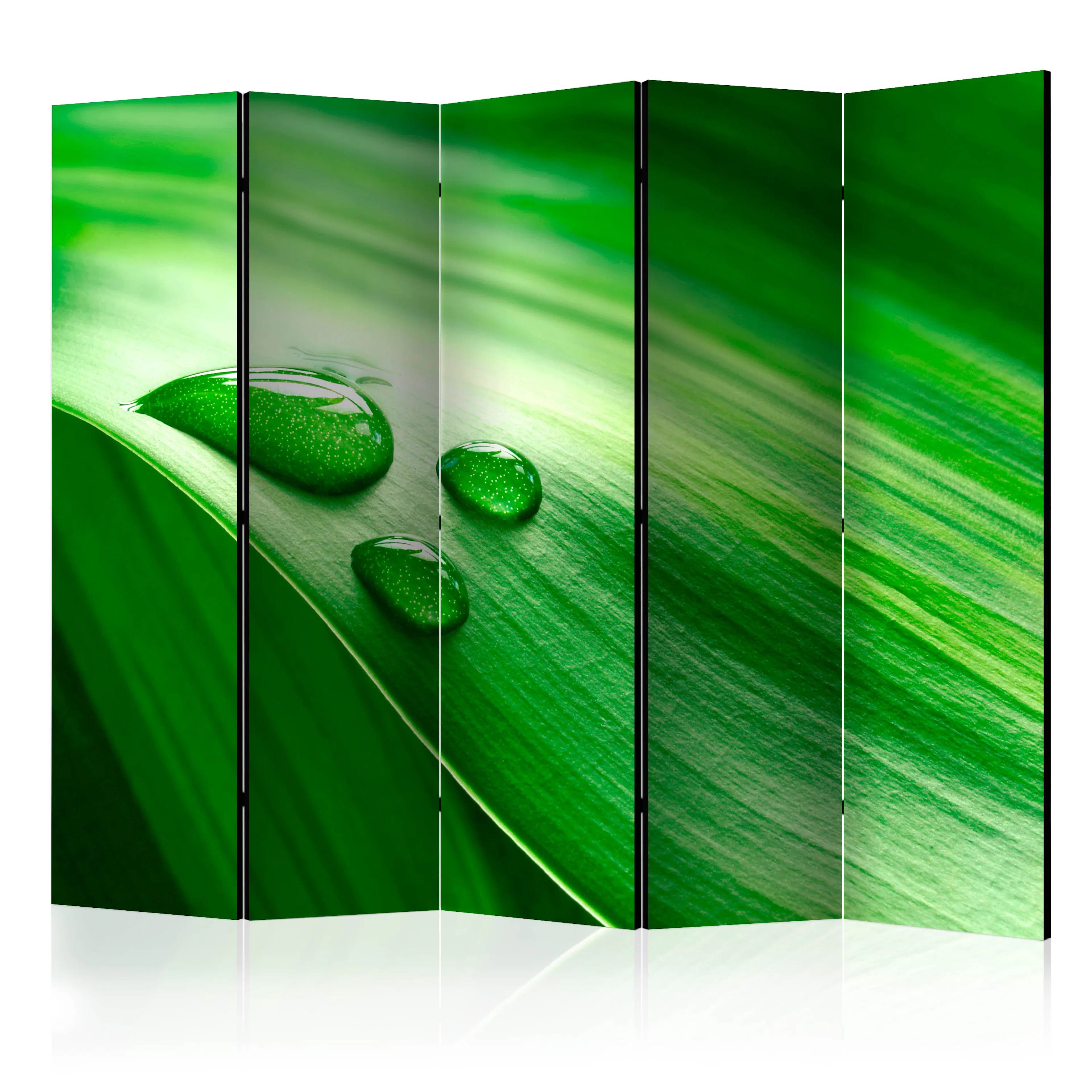 Rumsavdelare Arkiio Leaf and Three Drops of Water II 225x172 cm