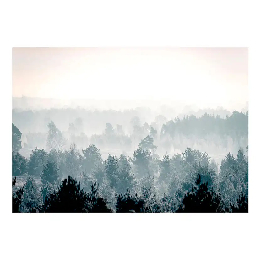 Fototapet Arkiio Winter Forest