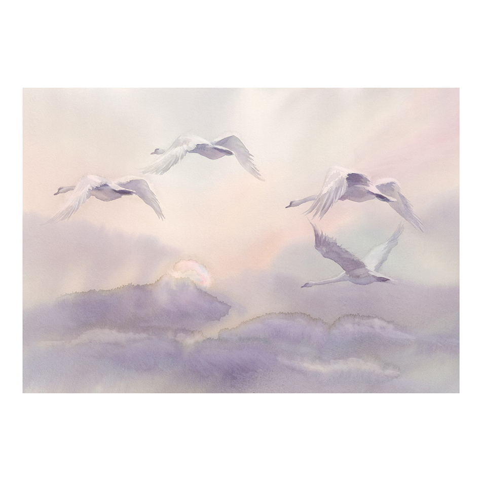 Fototapet Arkiio Flying Swans