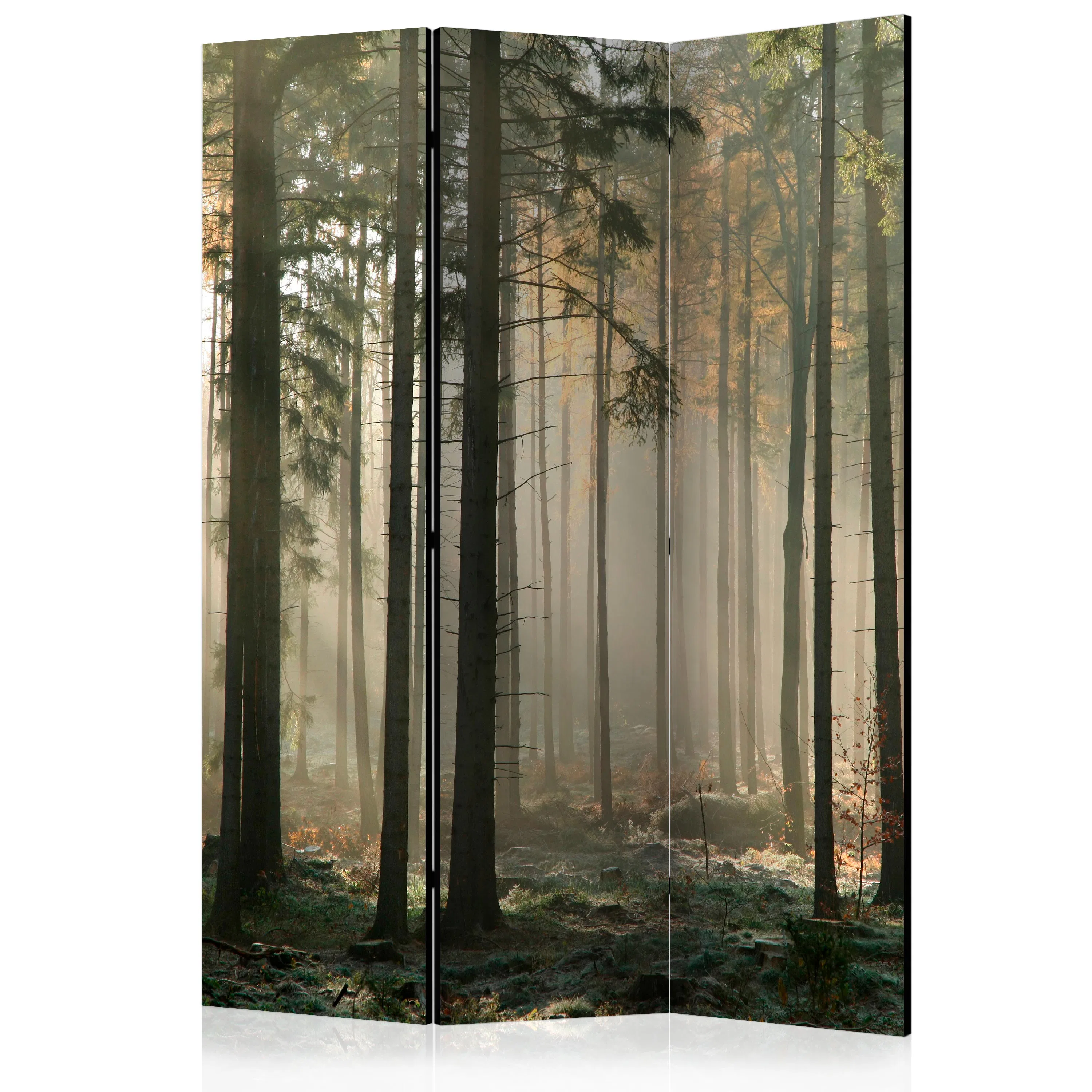 Rumsavdelare Arkiio Foggy November Morning 135x172 cm