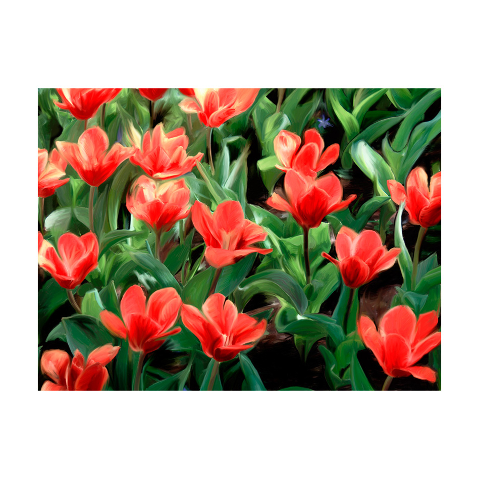 Fototapet Arkiio Painted Flowers