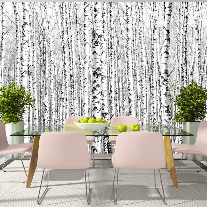 Fototapet Arkiio Birch Forest