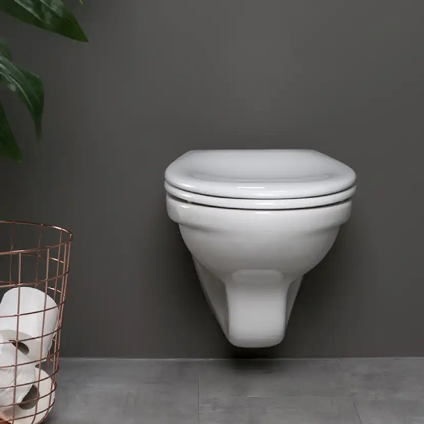 Vägghängd Toalettstol Alterna Basic II