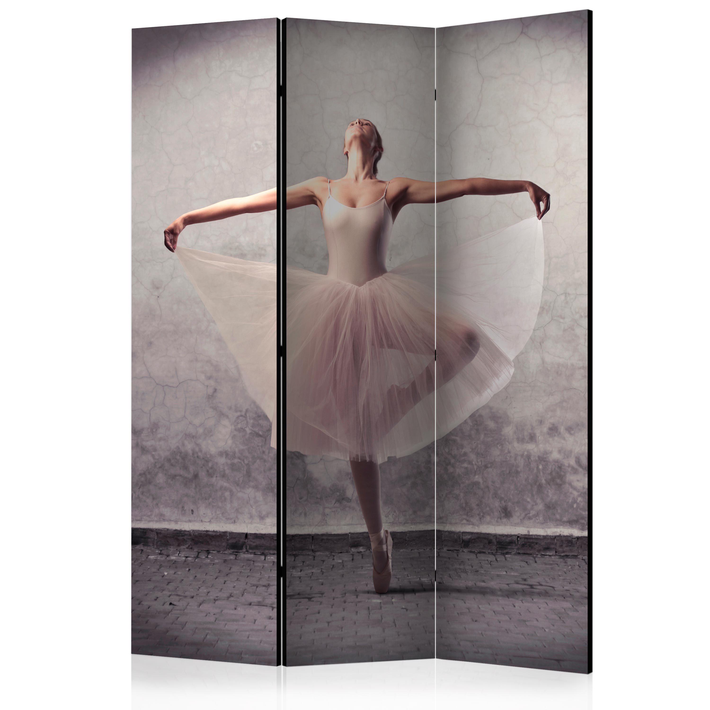 Rumsavdelare Arkiio Classical Dance Poetry Without Words 135x172 cm