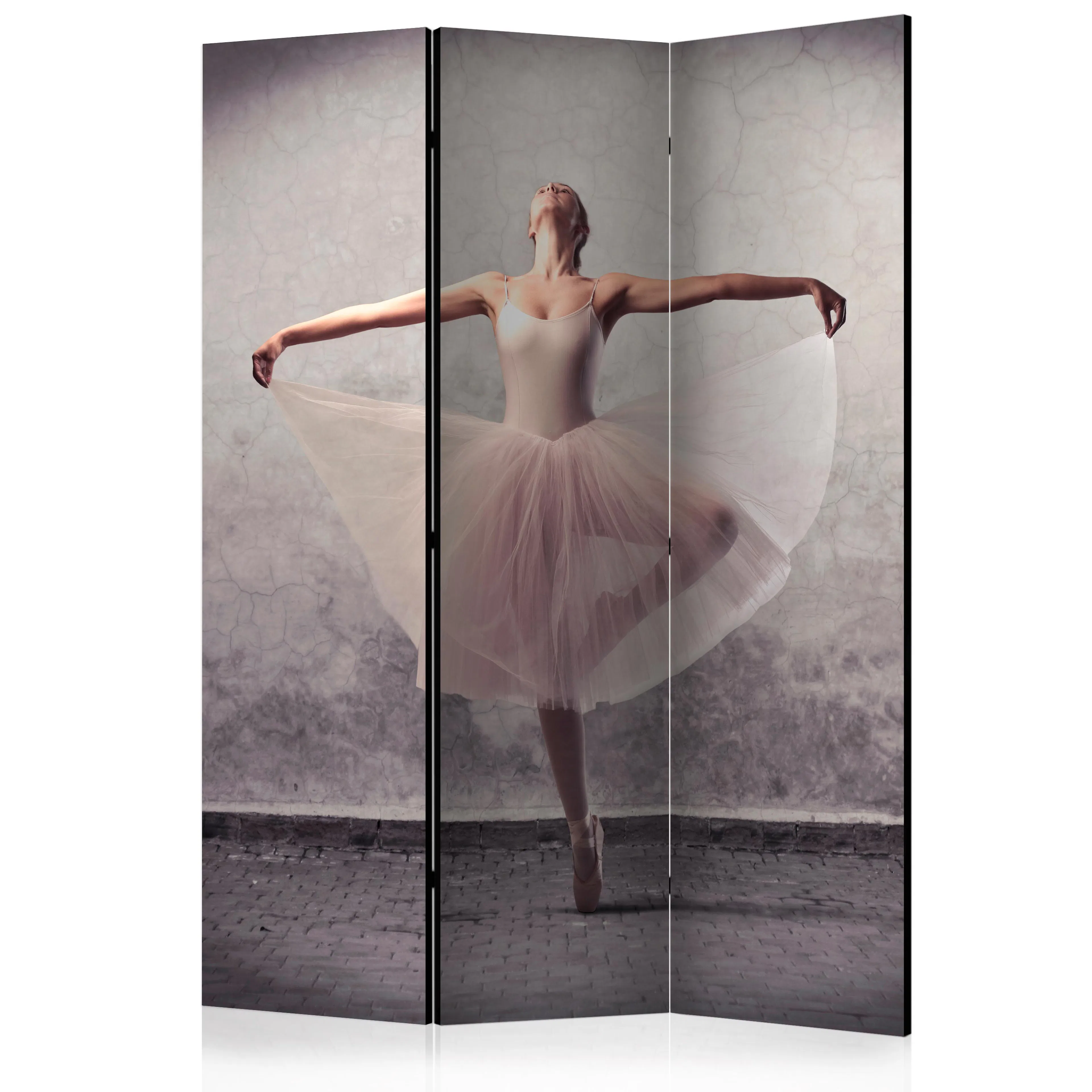 Rumsavdelare Arkiio Classical Dance Poetry Without Words 135x172 cm