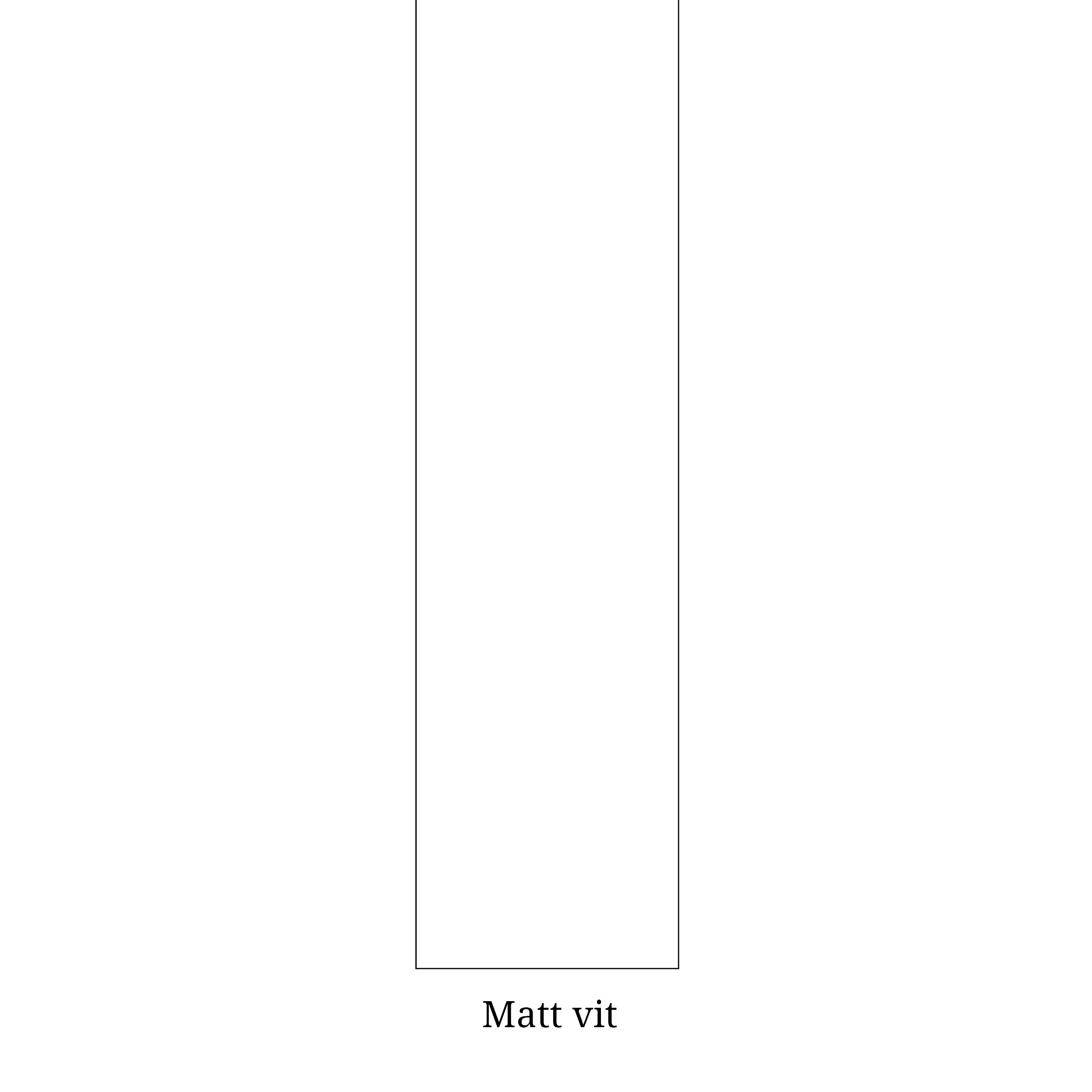 Matt Vit