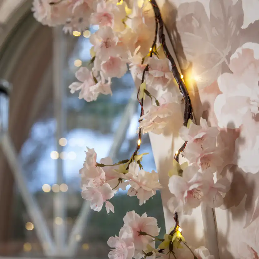 Girlang Star Trading Flower