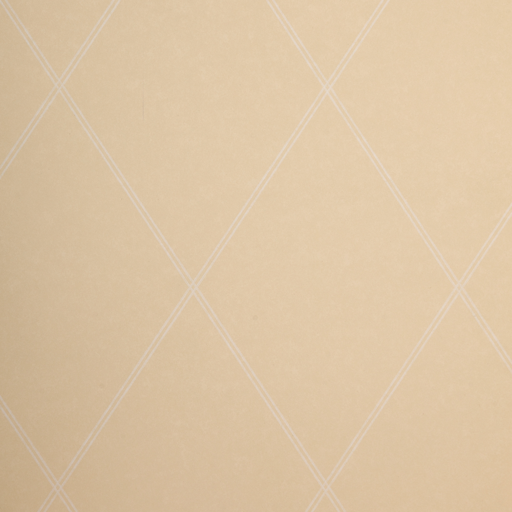 Tapet Paintpart Lantligt & Modernt 4931-1
