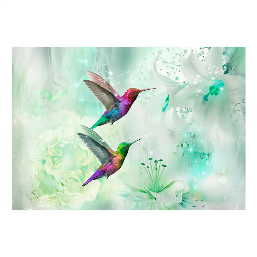Fototapet Arkiio Colourful Hummingbirds Green