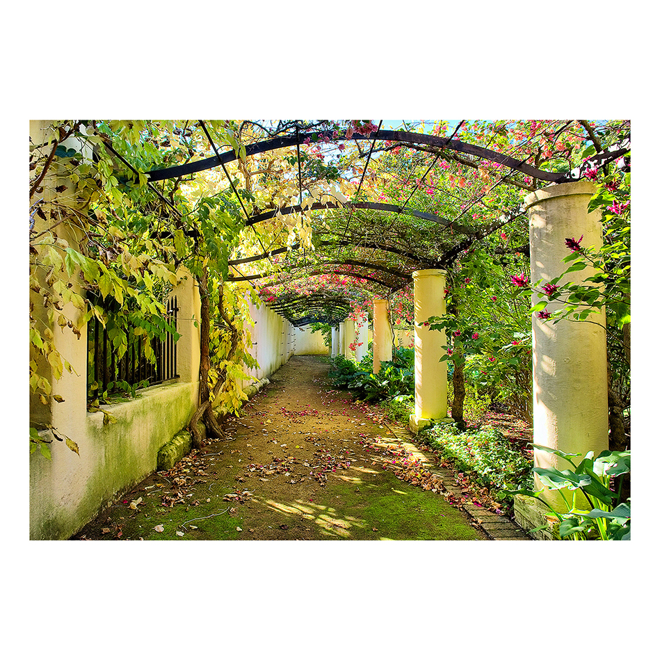 Fototapet Arkiio Pergola