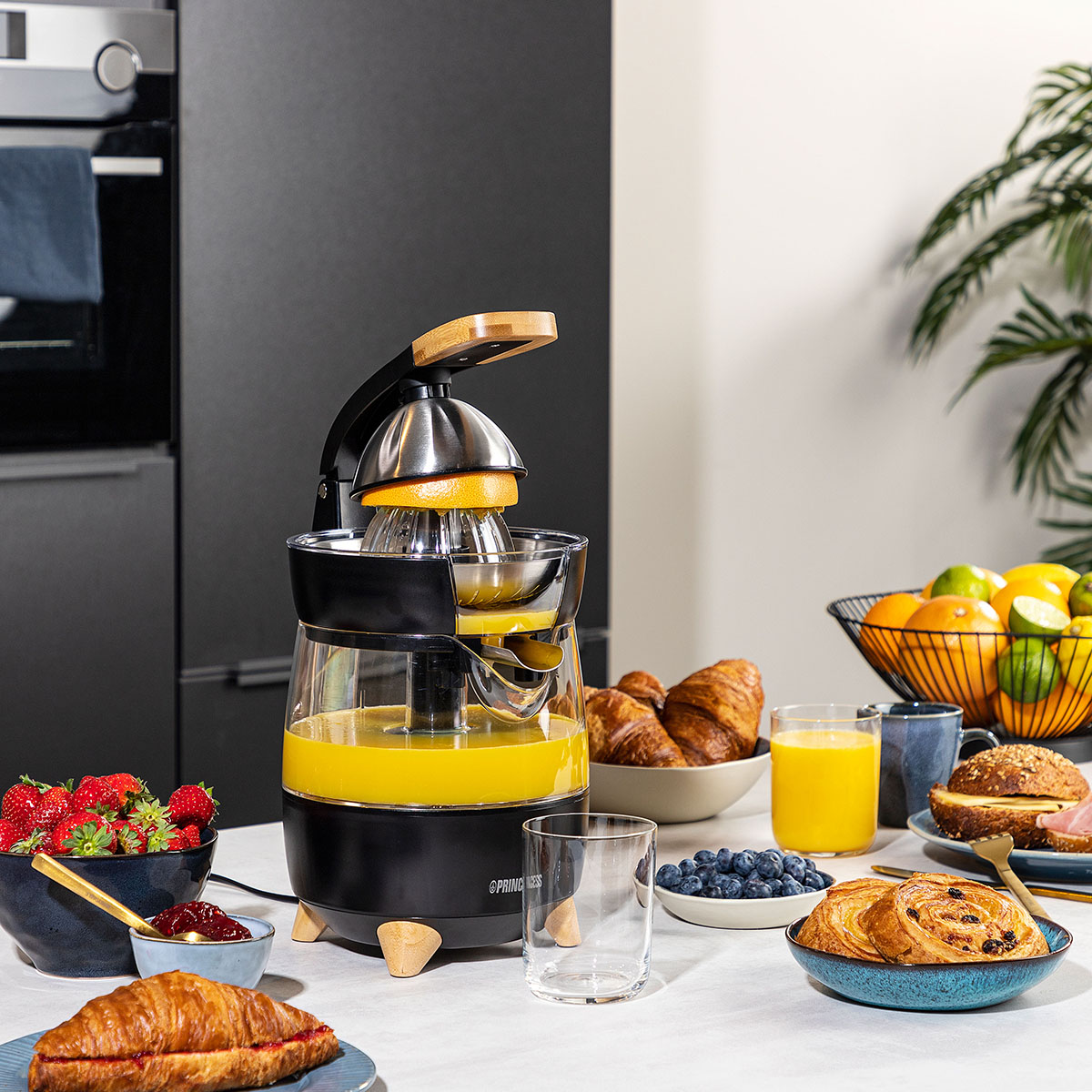 Juicepress Princess Luxurious Design 300W