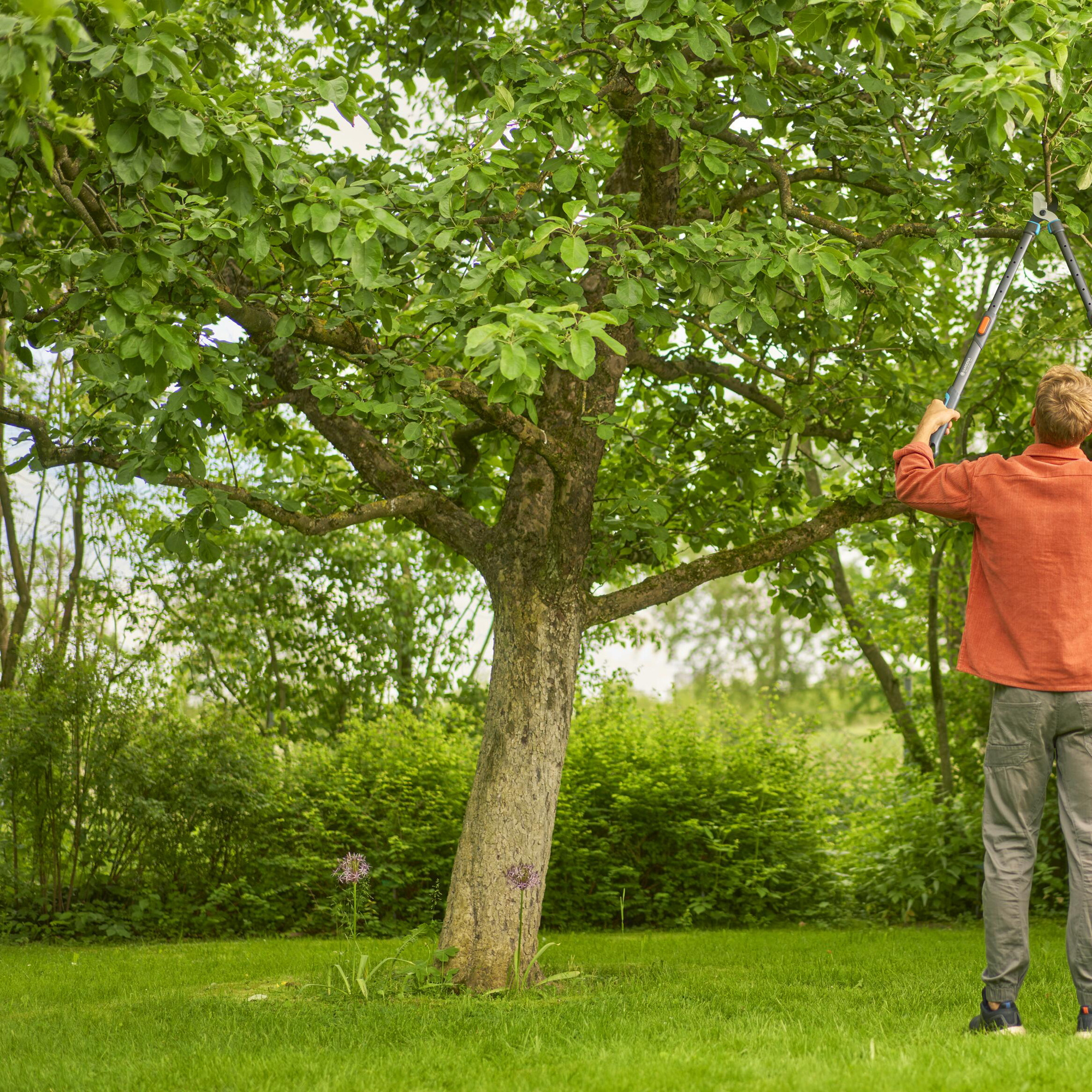 Grensax Gardena TeleCut Pro L Teleskopisk