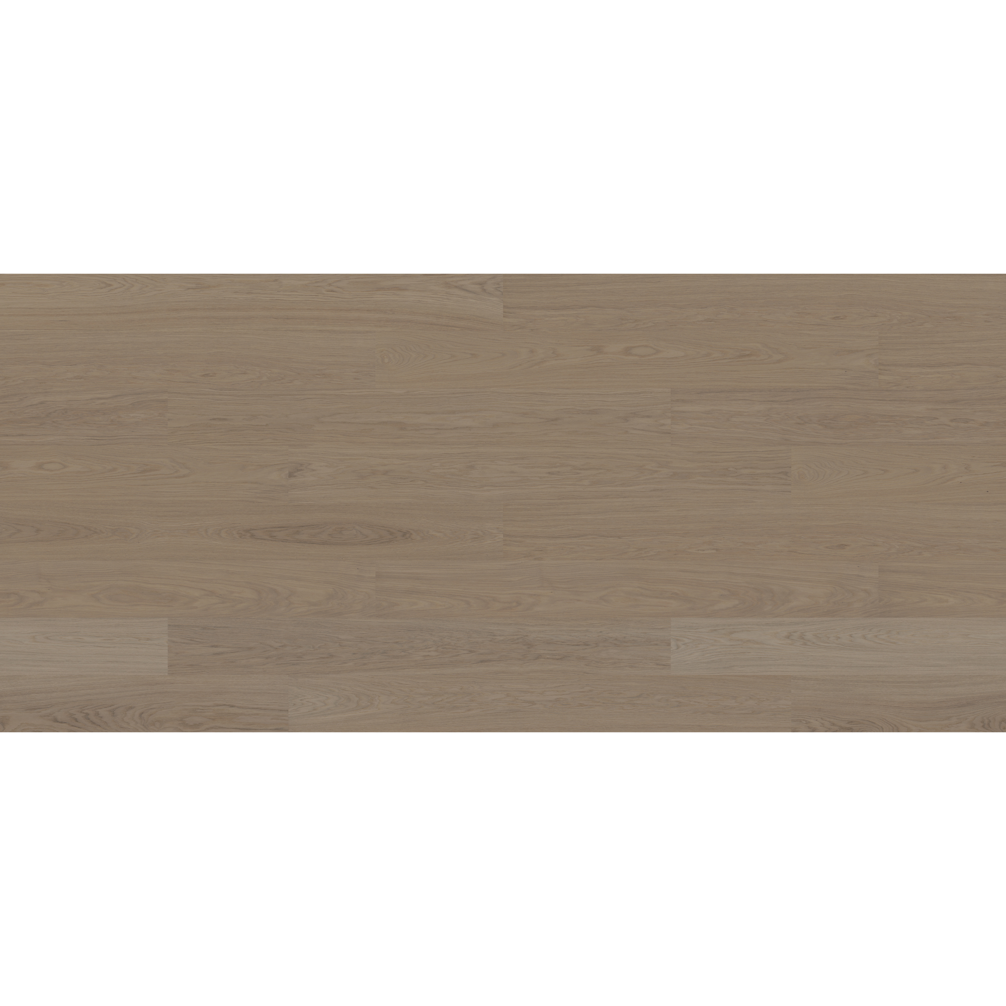 GRYBY 3.0 XXL