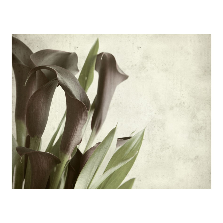 Fototapet Arkiio Dark Purple Kallor Gammalt Papper Bakgrund