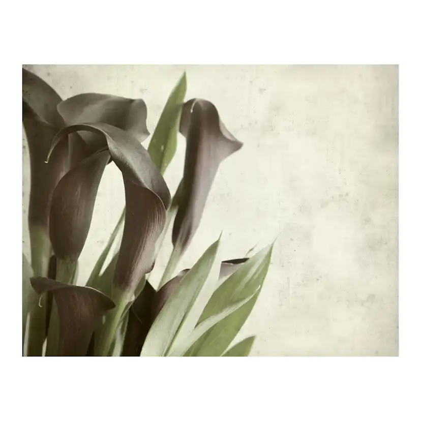 Fototapet Arkiio Dark Purple Kallor Gammalt Papper Bakgrund