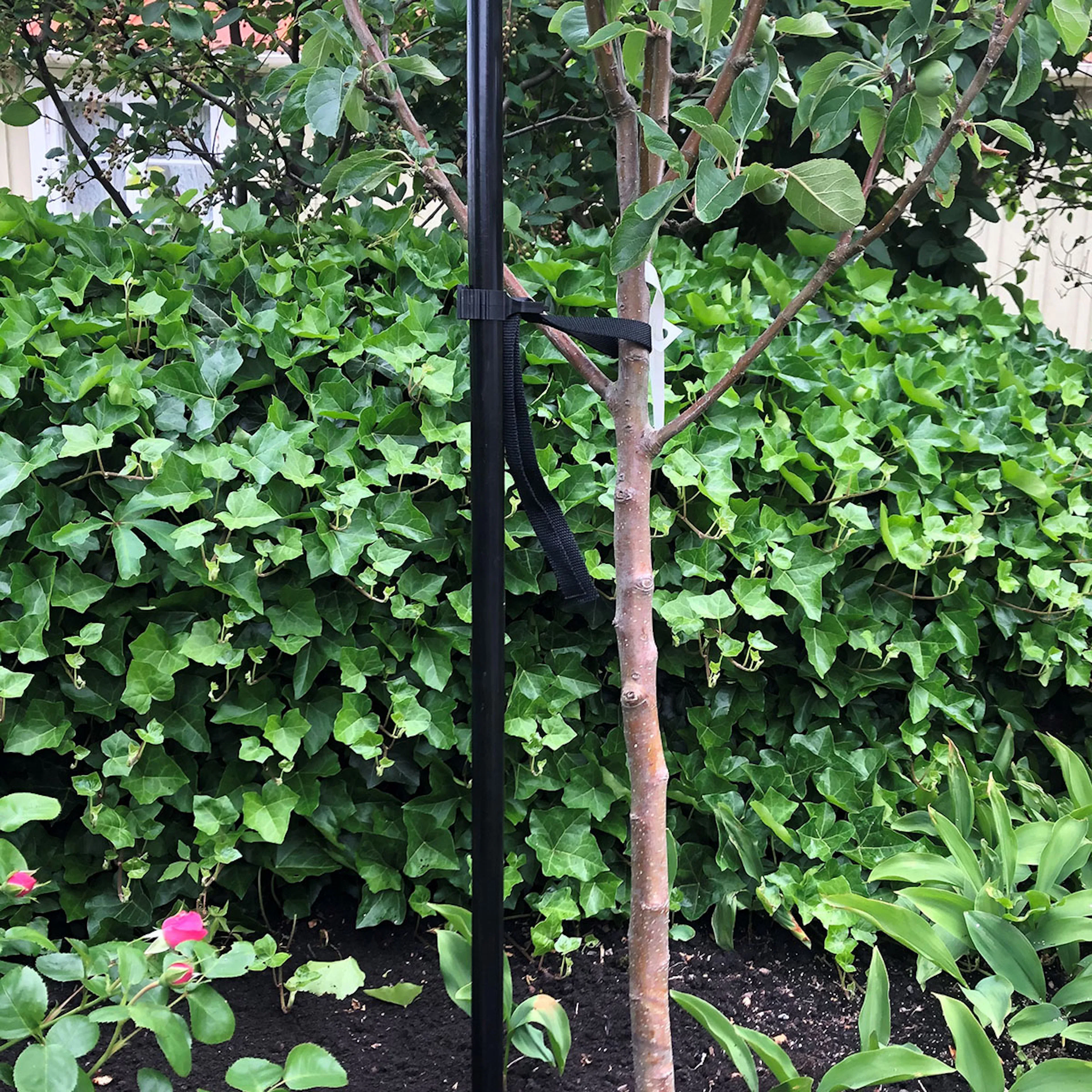 Trädstöd 1-stolpe 1200 mm svart Svart 1200 mm
