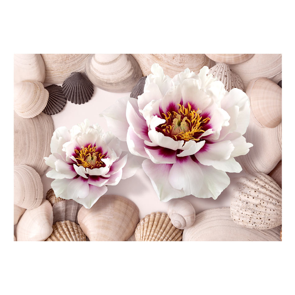 Fototapet Arkiio Flowers And Shells