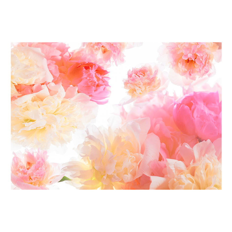 Fototapet Arkiio Pastel Peonies