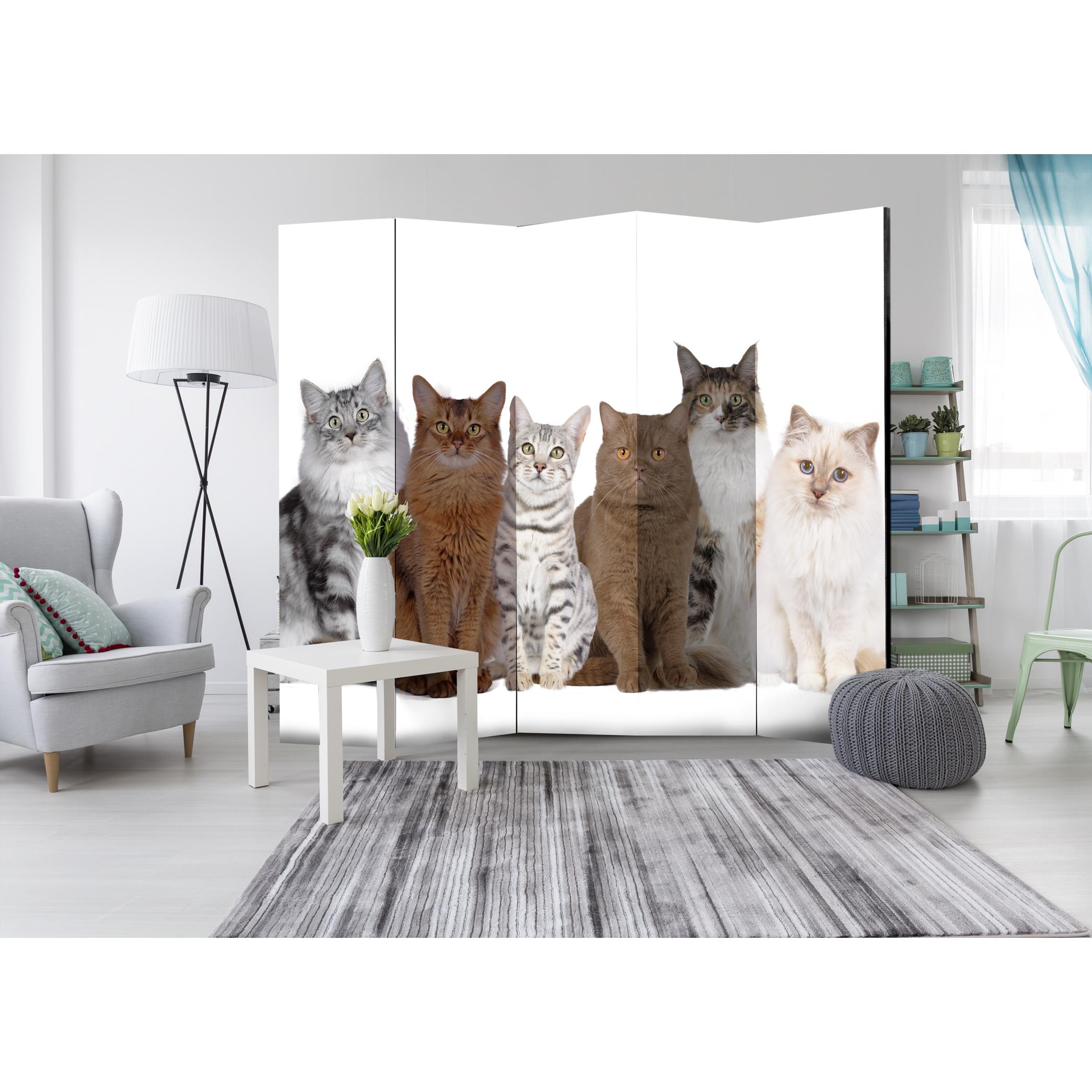 Rumsavdelare Arkiio Sweet Cats II 225x172 cm
