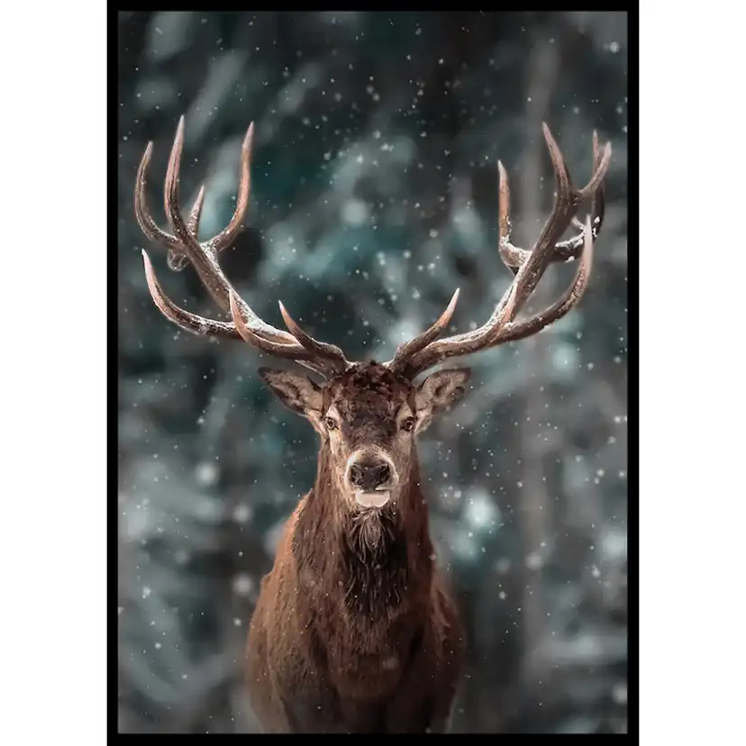 Poster Gallerix Majestic Deer