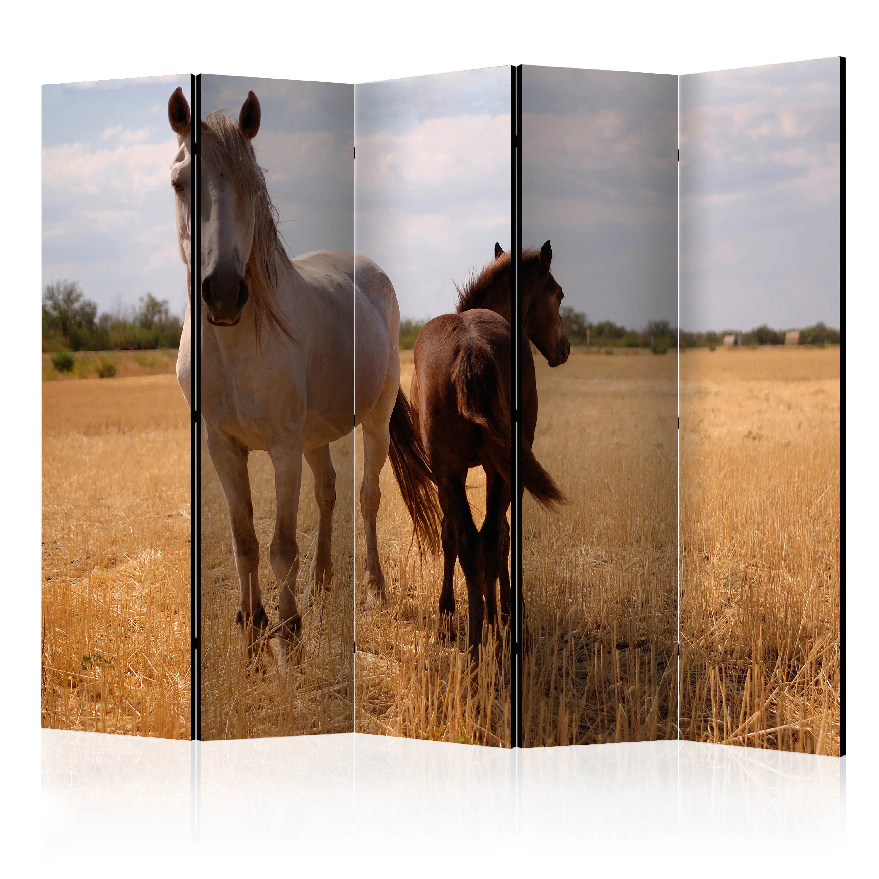 Rumsavdelare Arkiio Horse And Foal II 225x172 cm