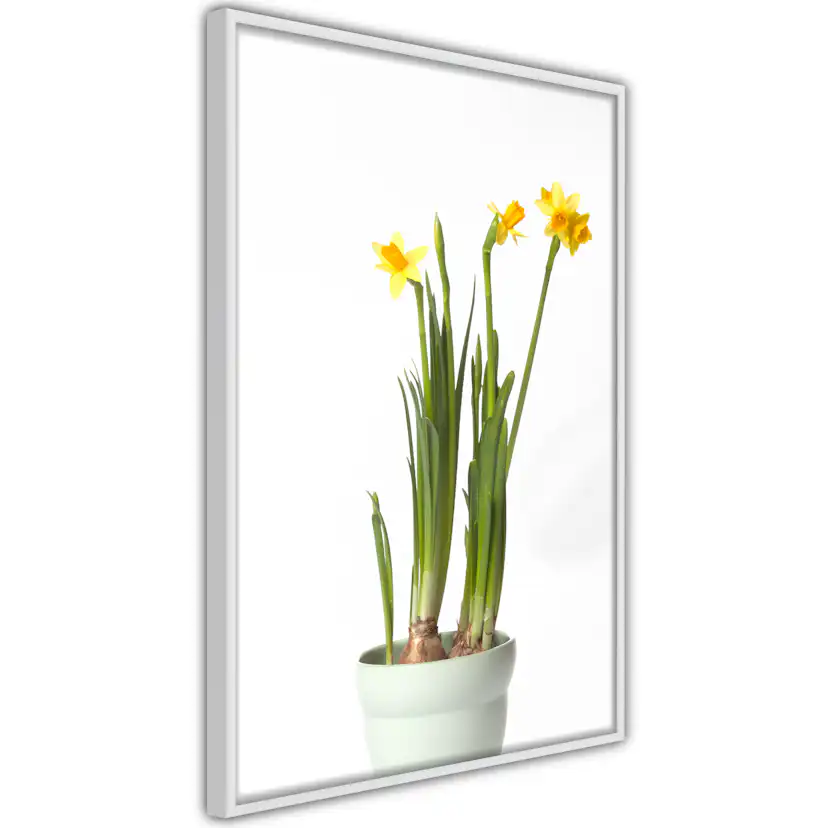 Poster Artgeist Affisch Narcissus
