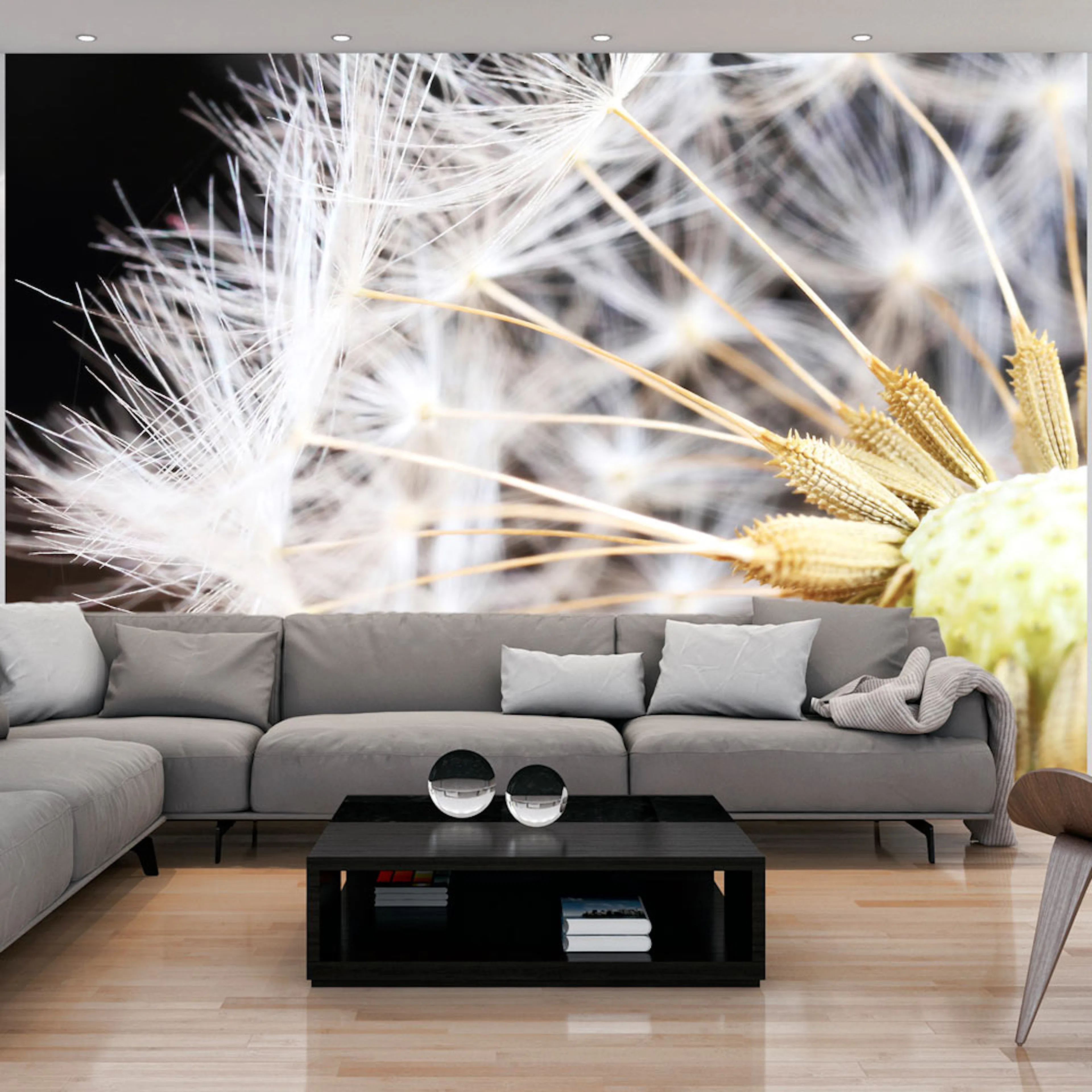 Fototapet Arkiio Fluffy Dandelion