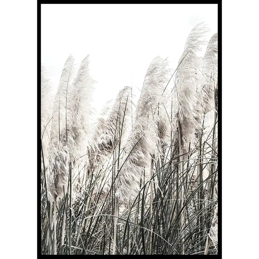 Poster Gallerix Wild Grass Tall
