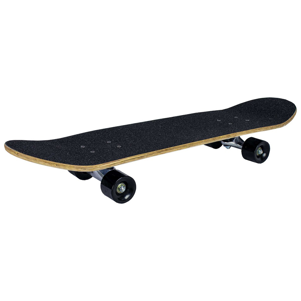 Skateboard Sandbar Shark