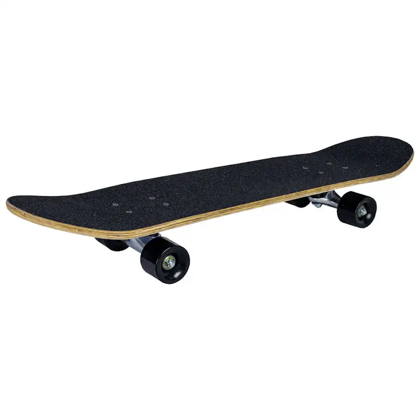 Skateboard Sandbar Shark