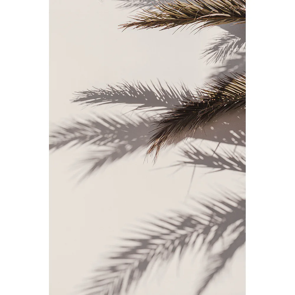 Posters Venture Home Shadow Beige