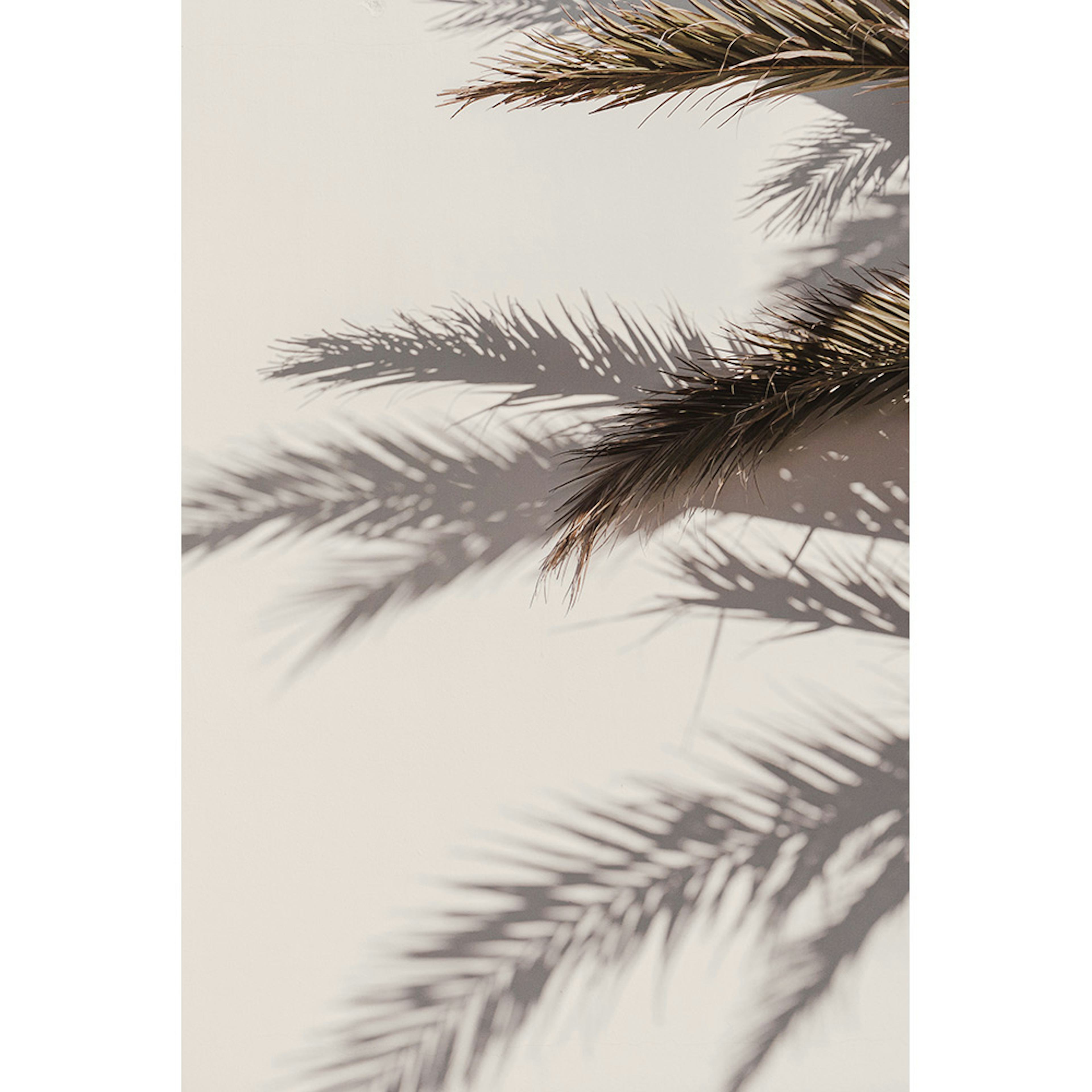 Posters Venture Home Shadow Beige