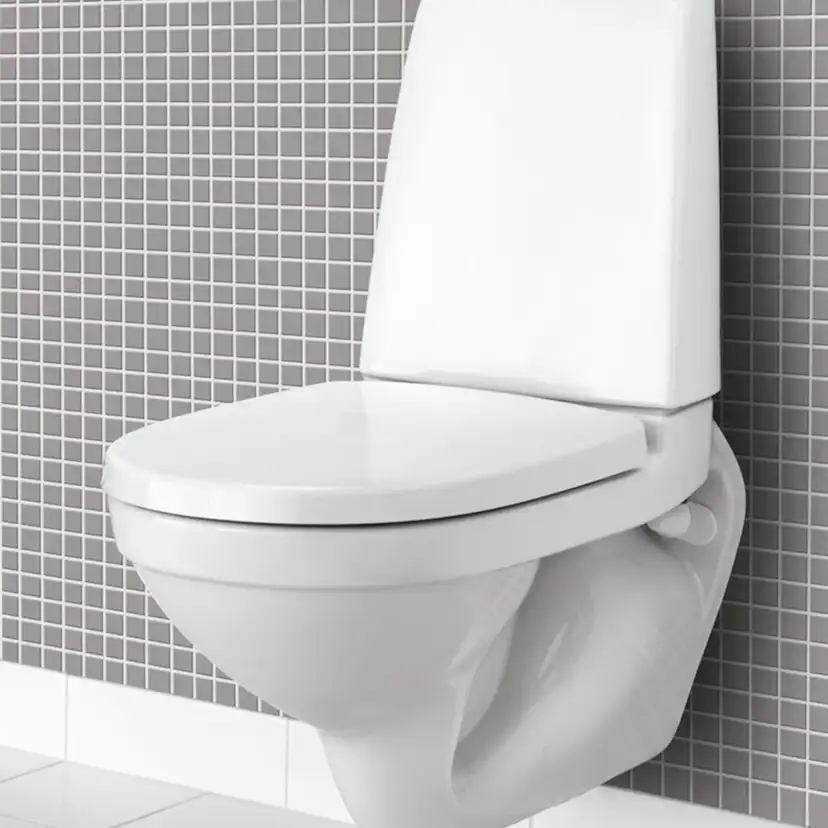 Vägghängd Toalettstol Gustavsberg Nautic 1522 C+ Hygienic Flush 4L