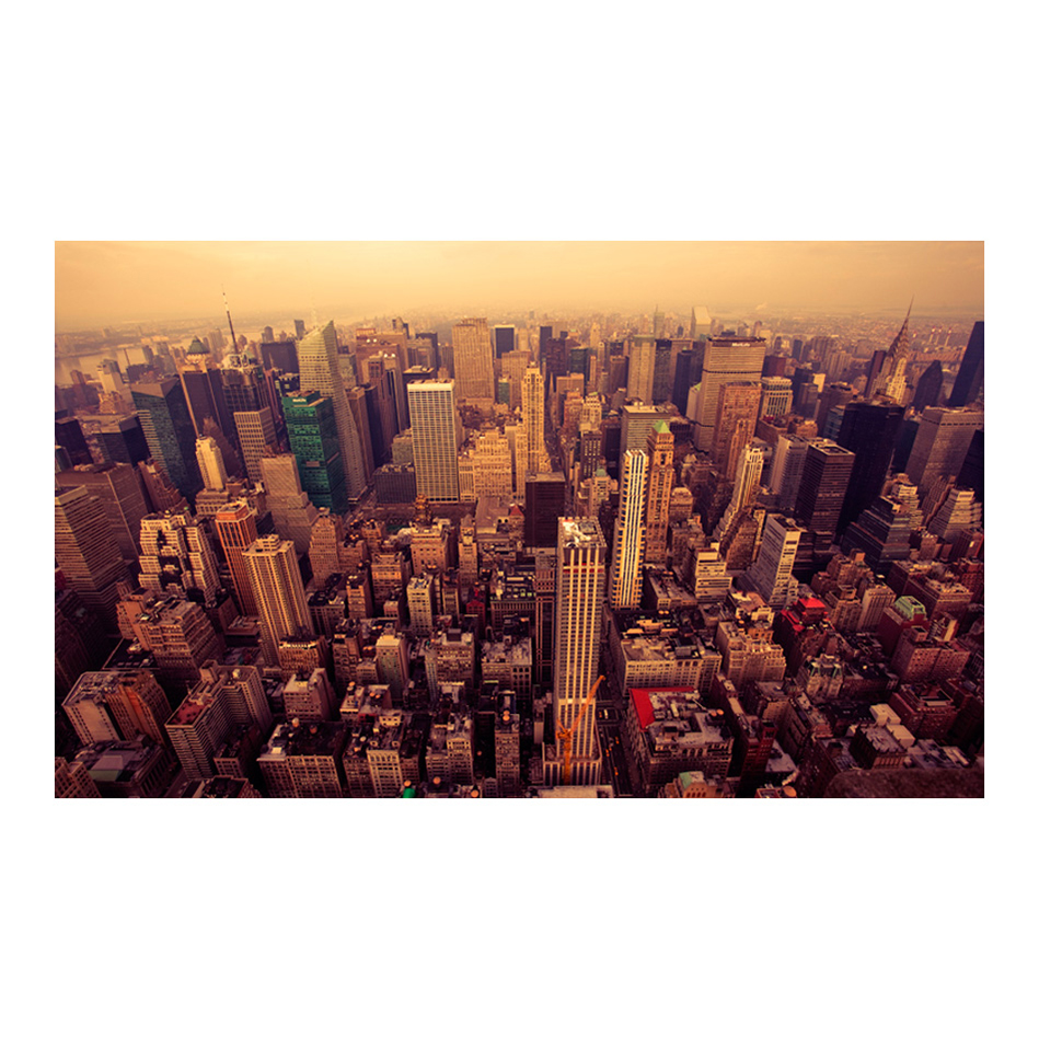 Fototapet Arkiio Fågeln synar beskådar av Manhattan, New York 450x270 cm